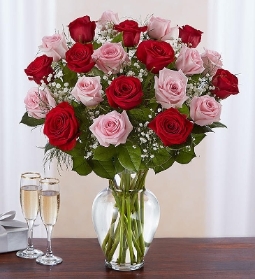 18 Luxury lonmg stemmed Red and Pink Roses